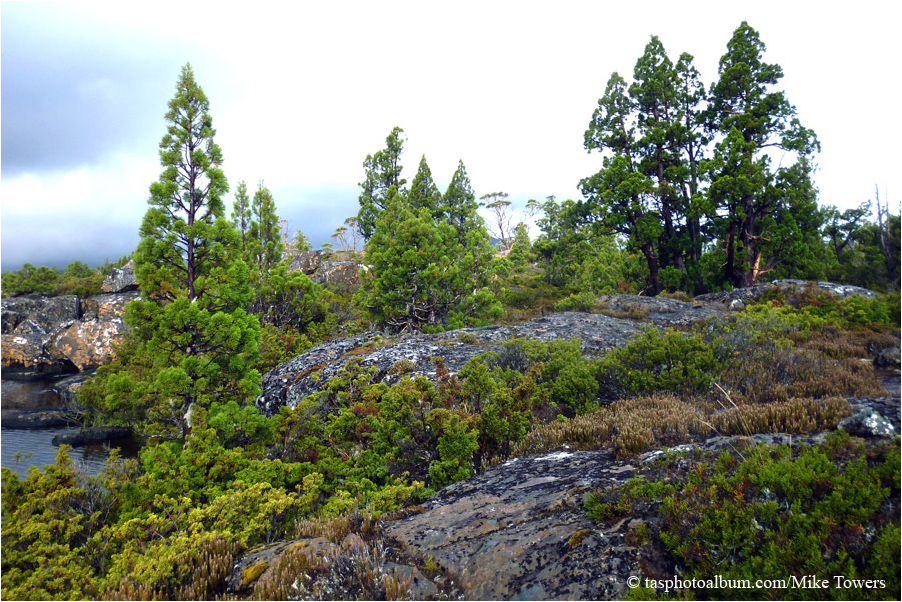 Cathedral Plateau